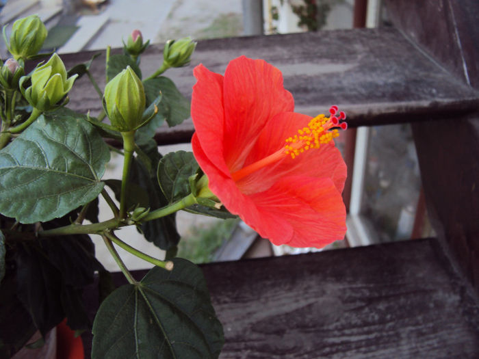 DSC03209