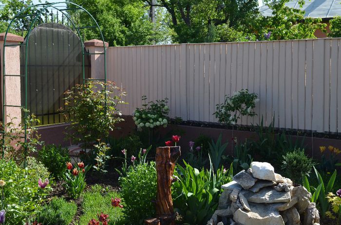 DSC_0920 - 1Gradina mult visata