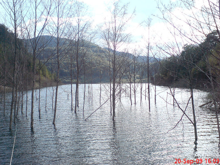 DSC03083 - placerea de a face fotografii