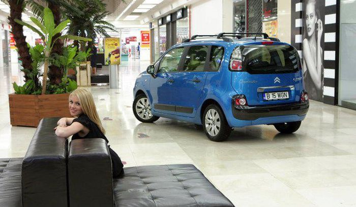 149210_353136328131557_1559639508_n