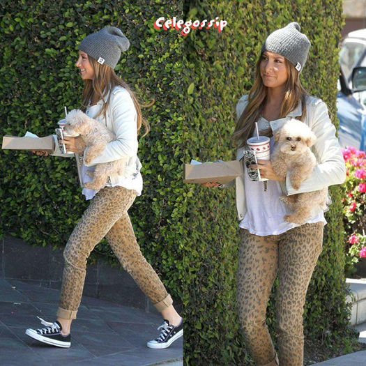 537814_374069572711070_1854098745_n