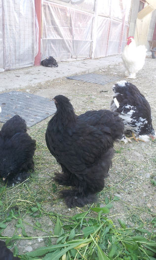 20130501_1659401019958922