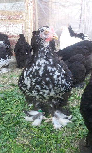 20130501_165949-770033678