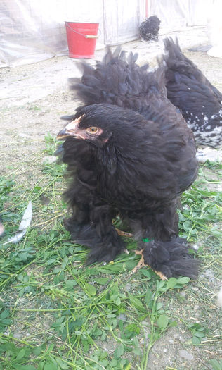 20130501_170029718137433