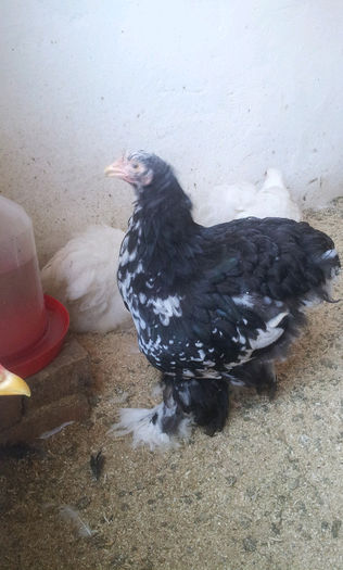 20130501_1701322089667791