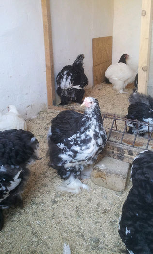 20130501_170137-1084275043