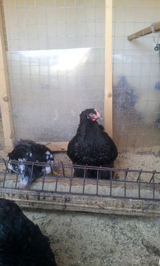 20130501_170141401512885