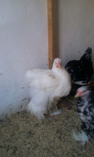 20130501_1701541325124084