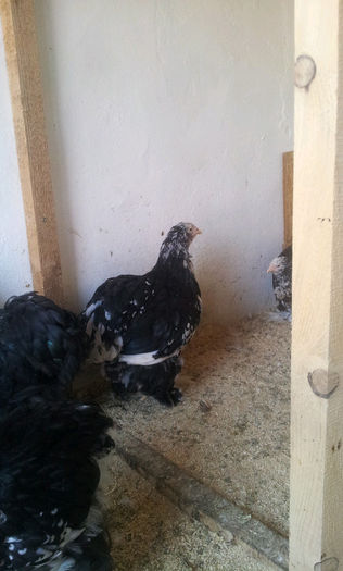 20130501_170208-492298054