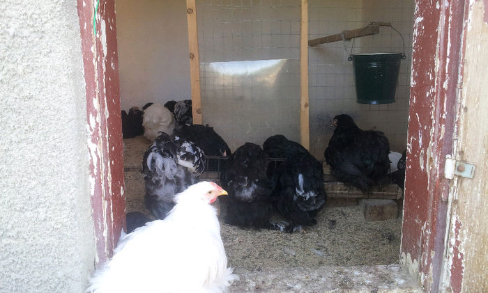 20130501_171145-2033044798