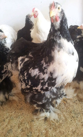 20130501_170316-1541345898