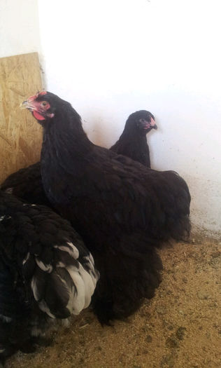 20130501_170307-742685277