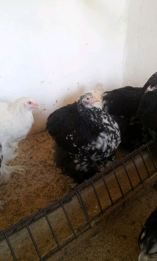 20130501_170326-1960770118