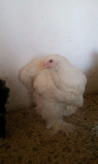 20130501_1703371079379427