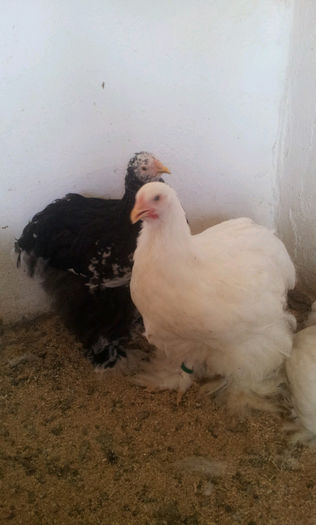 20130501_1704391654342529