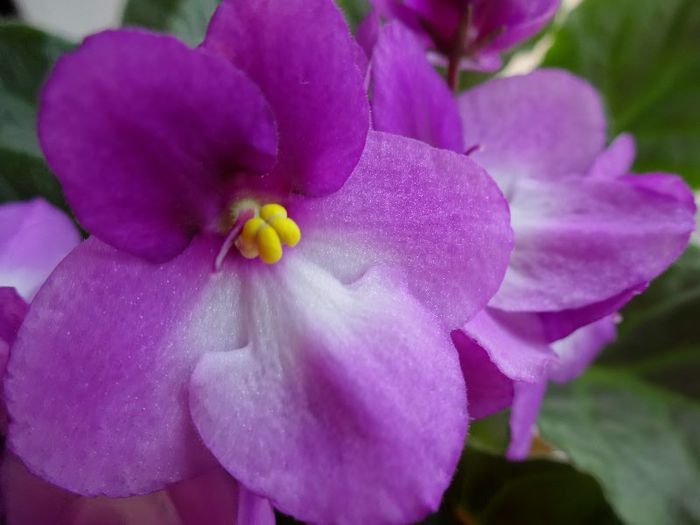 DSC01546 - City Line Trendy