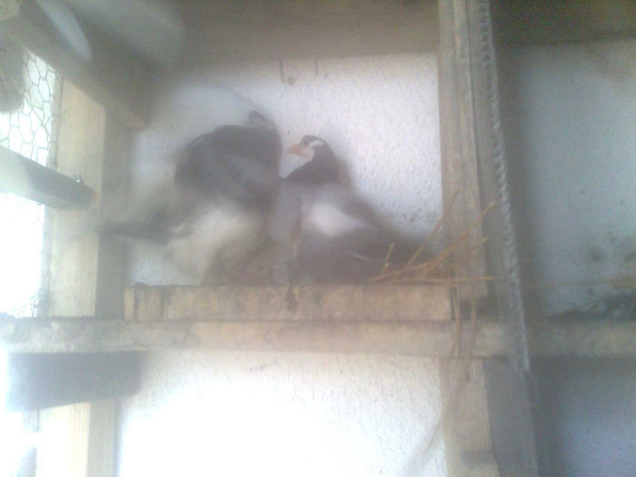 Image0518