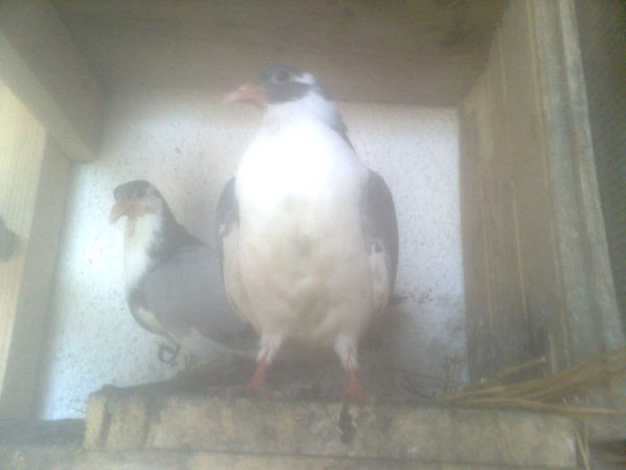 Image0519