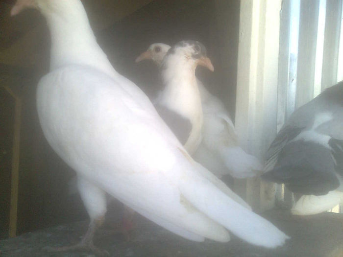 Image0521