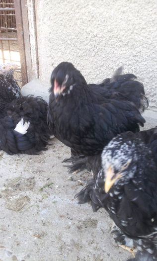 20130501_171047-1300770016