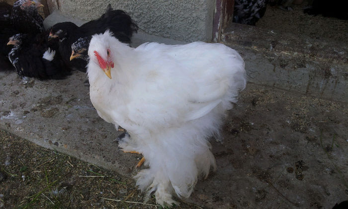 20130501_171104-1535788008