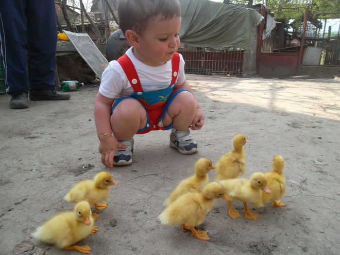 nu iasa la numaratoare