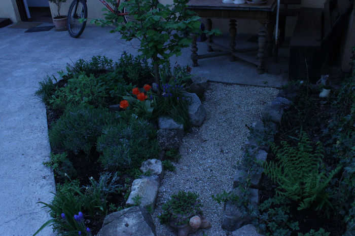 108; Plante aromatice sub alun
