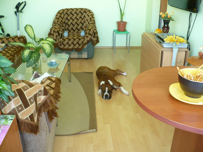 P1430345 - Bobby 2013