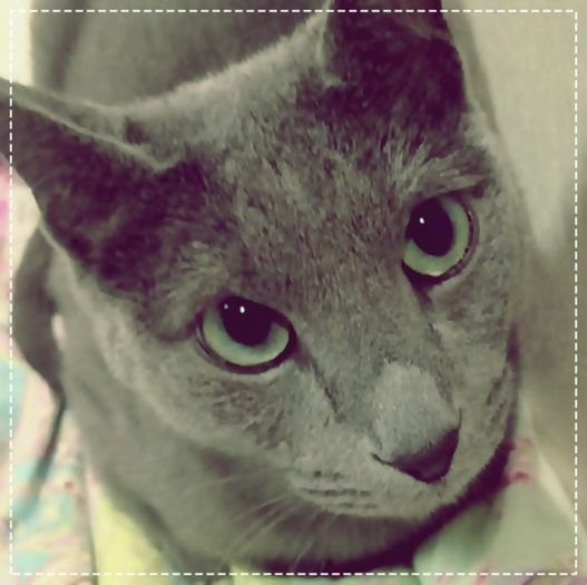 #.. :-L ..