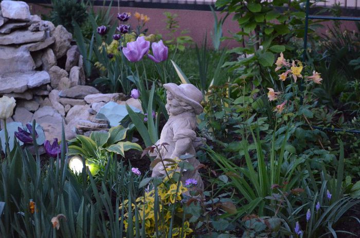 DSC_0953 - 1Gradina mult visata