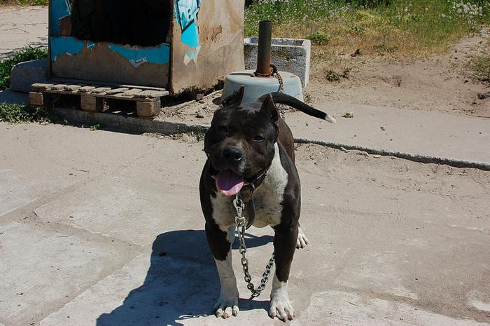 DSC_0128 - Sara si Leo