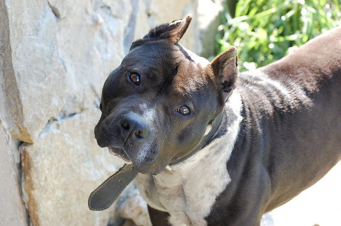 DSC_0136; Leo la 1mai 2013
