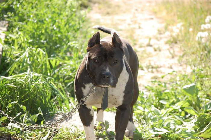 DSC_0145; Leo la 1mai 2013
