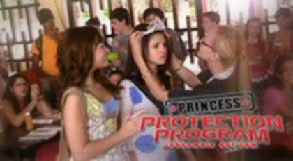 49791118_QICJVIRSQ - princess protection program