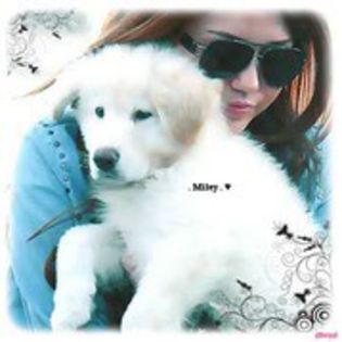 36595954_YHXOJGOCW