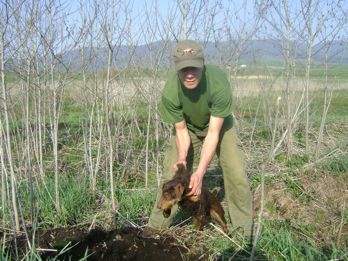 Sarreti Vadasz Celli