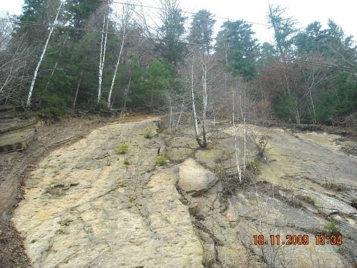 DSCN1886 - placerea de a face fotografii