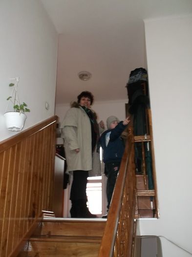 Picture 5043 - SINGURATATEA ALERGATORULUI DE CURSA LUNGA