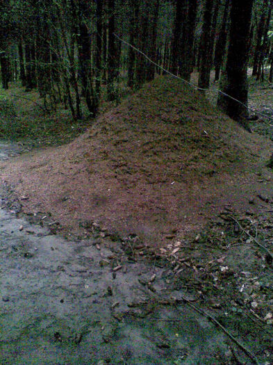 Imag016 - placerea de a face fotografii