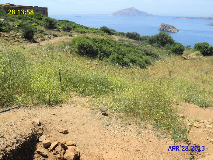 DSC06764 - GRECIA 2013