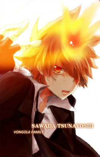 520 - Katekyo Hitman Reborn 2