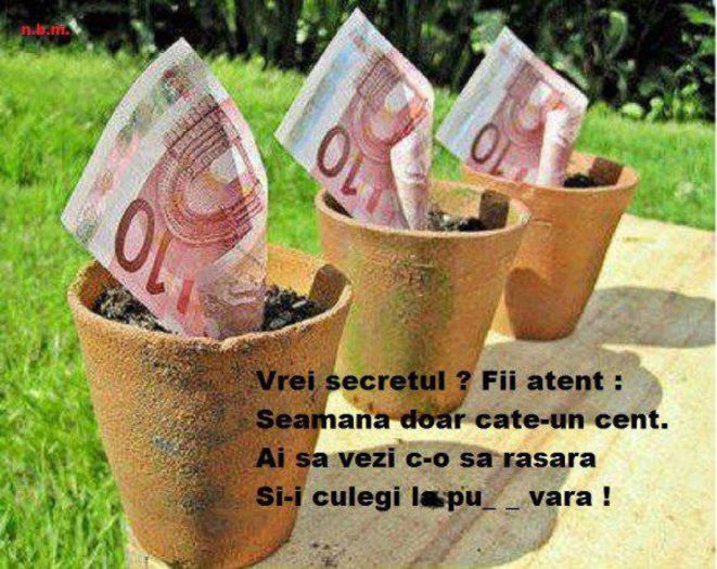 941275_494003530654952_1859441784_n - xo_Doza de ras_xo