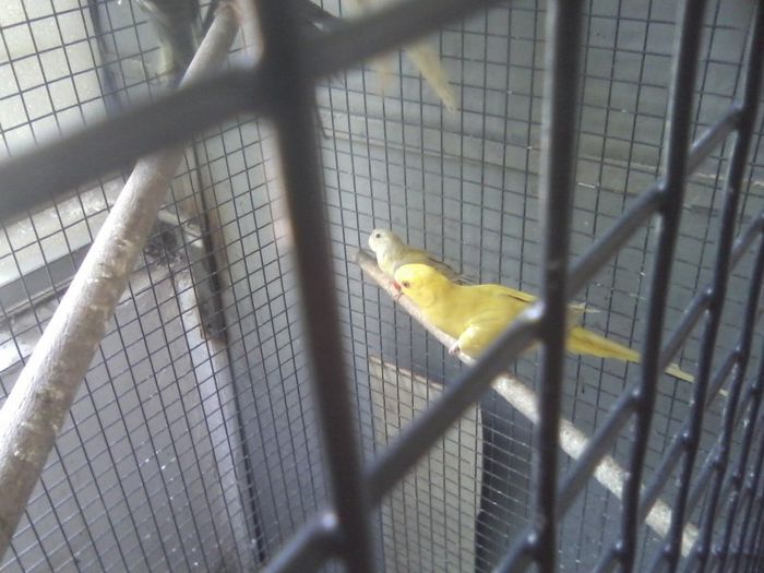 Copy of P03-05-13_11.59[2] - micu alx