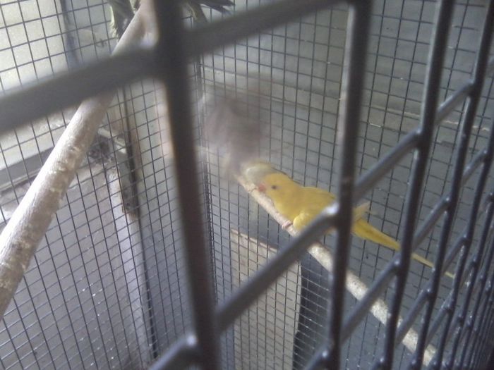 P03-05-13_11.59[1] - micu alx