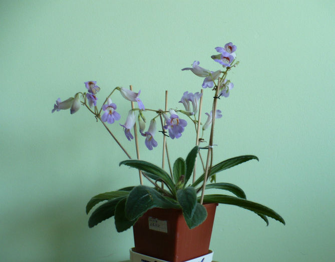 P1430412