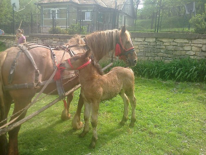 FĂ©nykĂ©p0943[1]