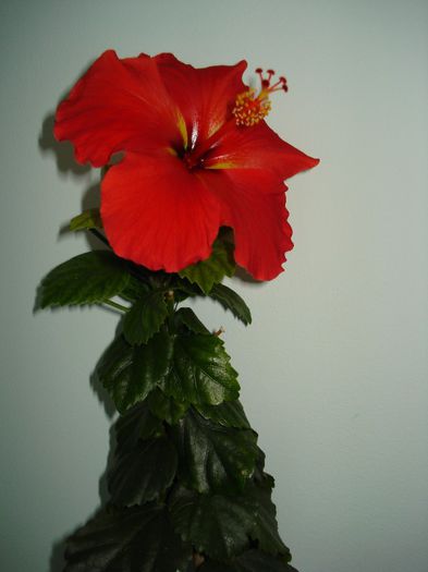 DSC06725