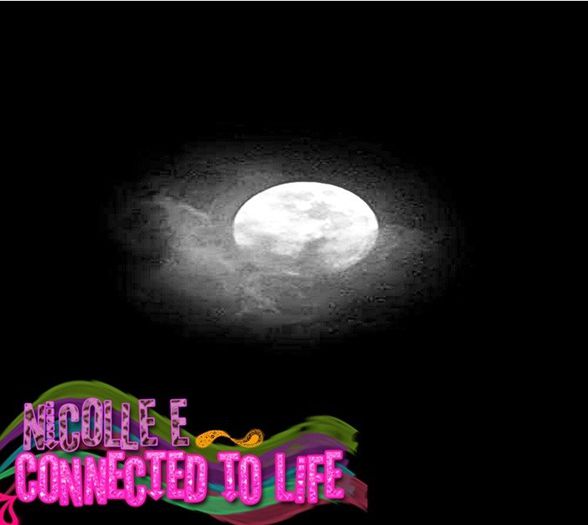 ➸ ∞; # in Aceasi noapte . Dupa ce au ajuns la un Hotell