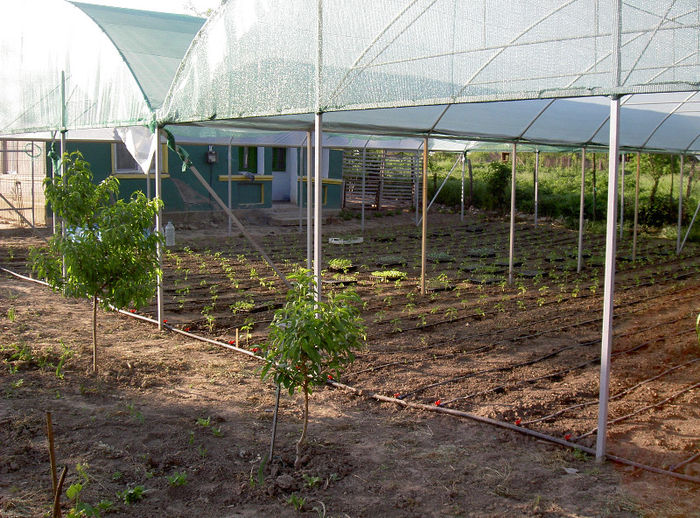 PICT6744 - 2013 Tunel