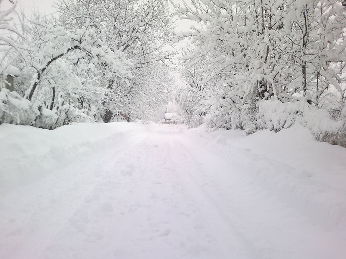 060220121835 - placerea de a face fotografii